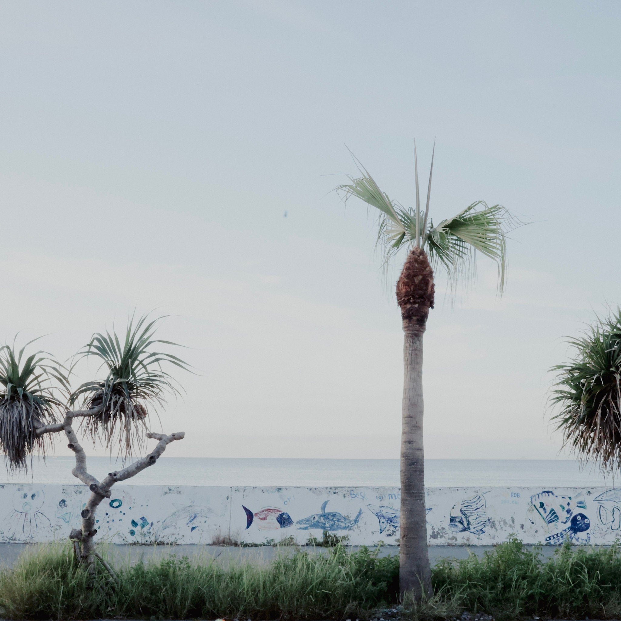 アーユルヴェーダで環境の変化を乗り越えるには?